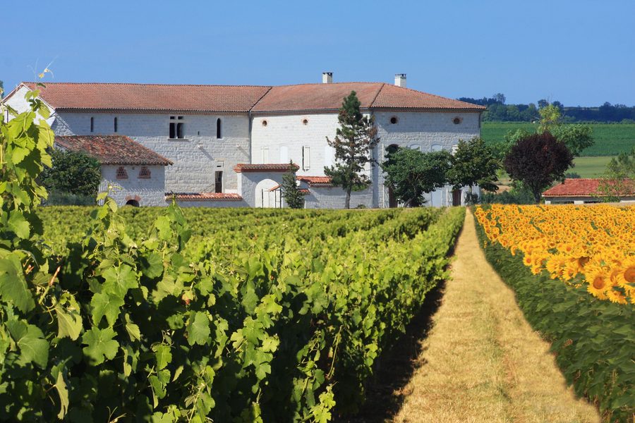 Vignoble du Sud-Ouest, région du Gaillacois